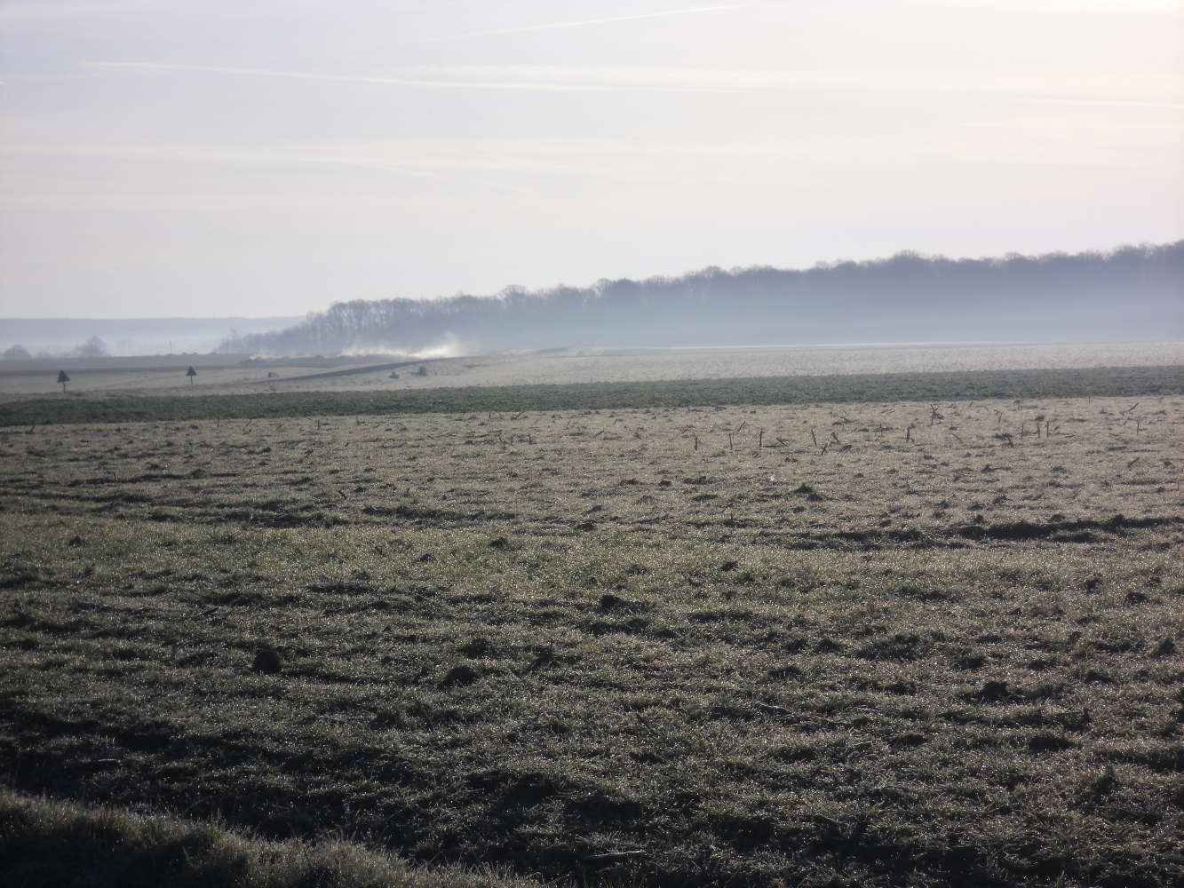 Brume matinale