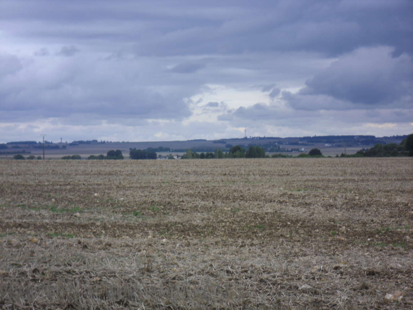 Faviere de Pontgouin